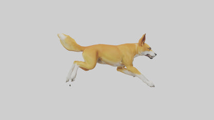 Dingo dog running model VR / AR / low-poly