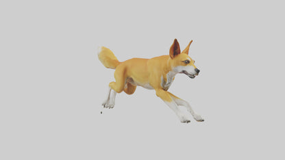 Dingo dog running model VR / AR / low-poly