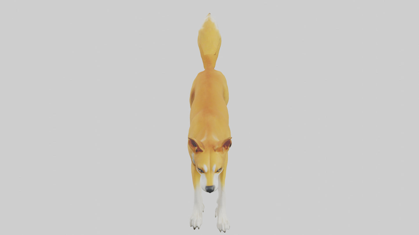 Dingo dog running model VR / AR / low-poly