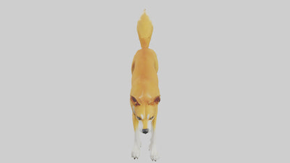 Dingo dog running model VR / AR / low-poly