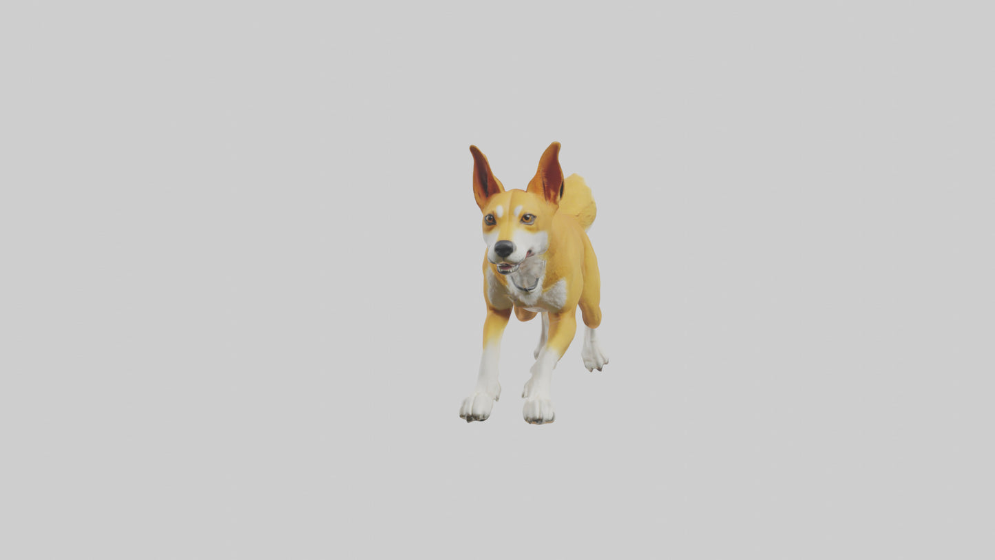 Dingo dog running model VR / AR / low-poly