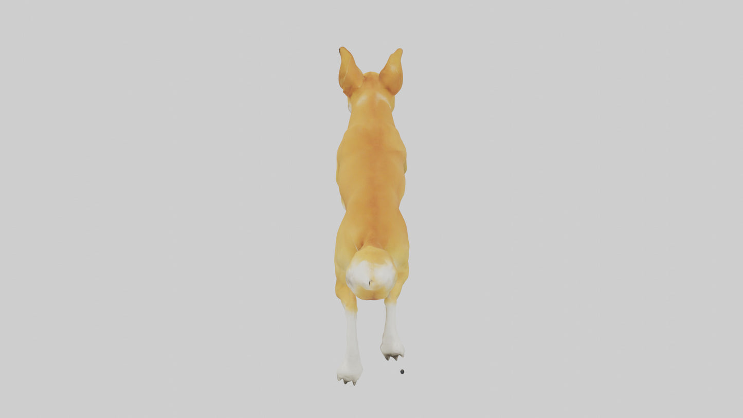 Dingo dog running model VR / AR / low-poly
