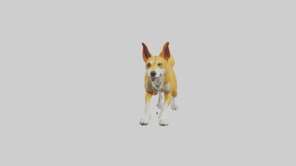 Dingo dog running model VR / AR / low-poly