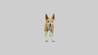 Dingo dog running model VR / AR / low-poly