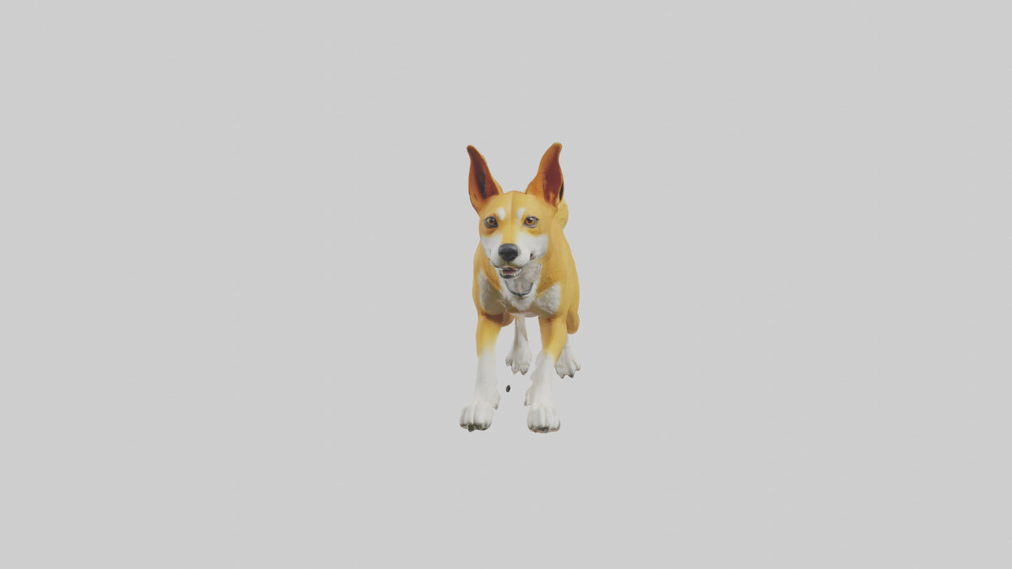 Dingo dog running model VR / AR / low-poly