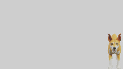 Dingo dog running model VR / AR / low-poly