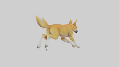 Dingo dog running model VR / AR / low-poly