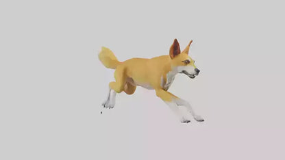 Dingo dog running model VR / AR / low-poly