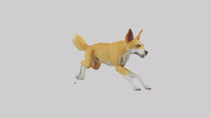 Dingo dog running model VR / AR / low-poly