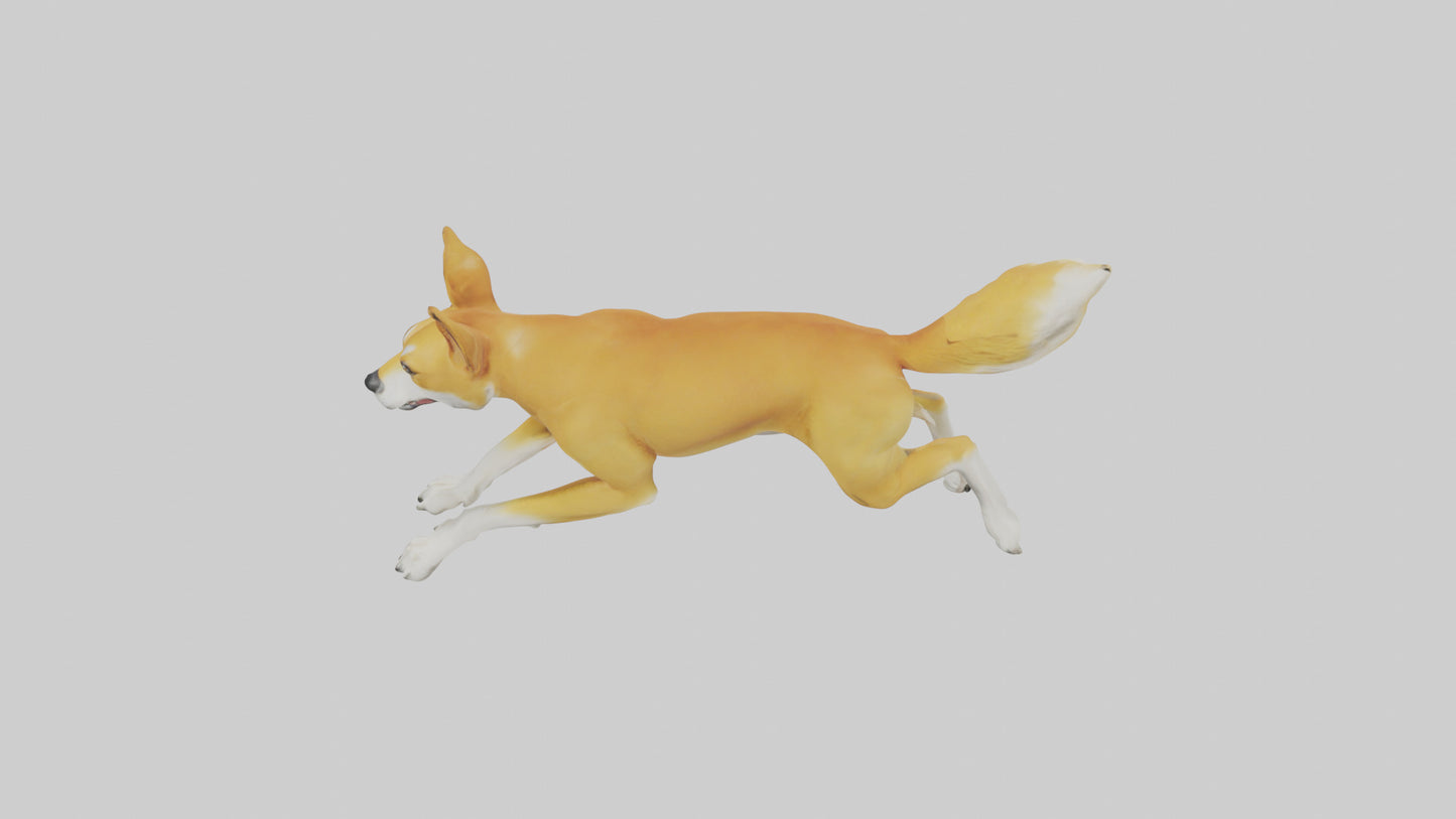 Dingo dog running model VR / AR / low-poly