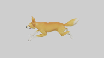 Dingo dog running model VR / AR / low-poly
