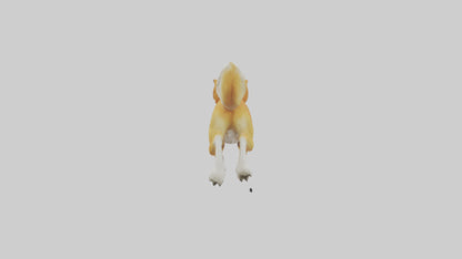 Dingo dog running model VR / AR / low-poly