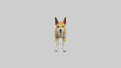 Dingo dog running model VR / AR / low-poly