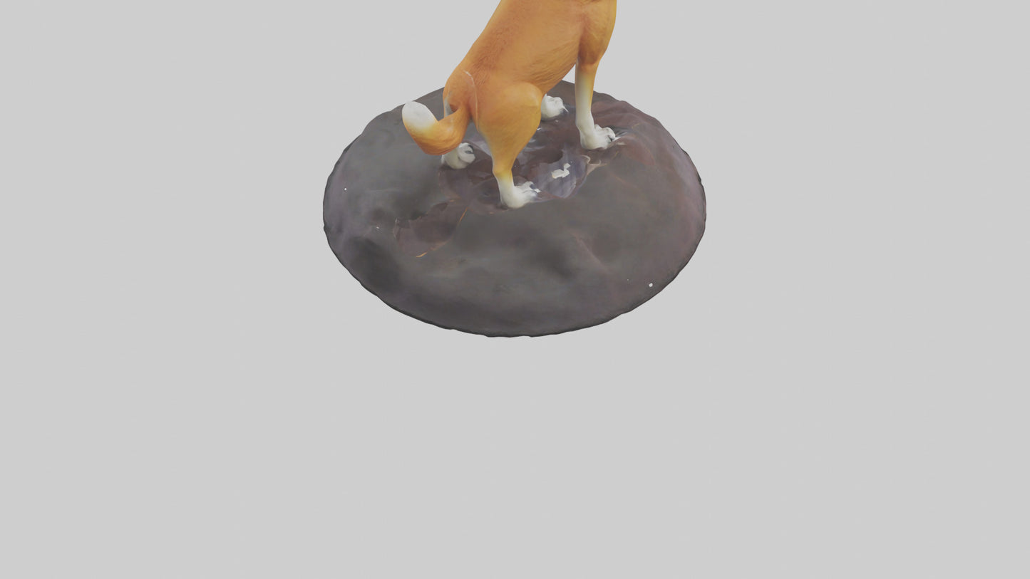 Dingo howling at moon model 3D model