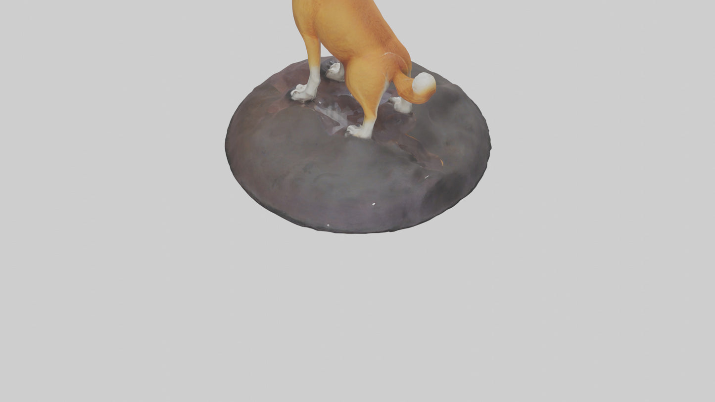 Dingo howling at moon model 3D model