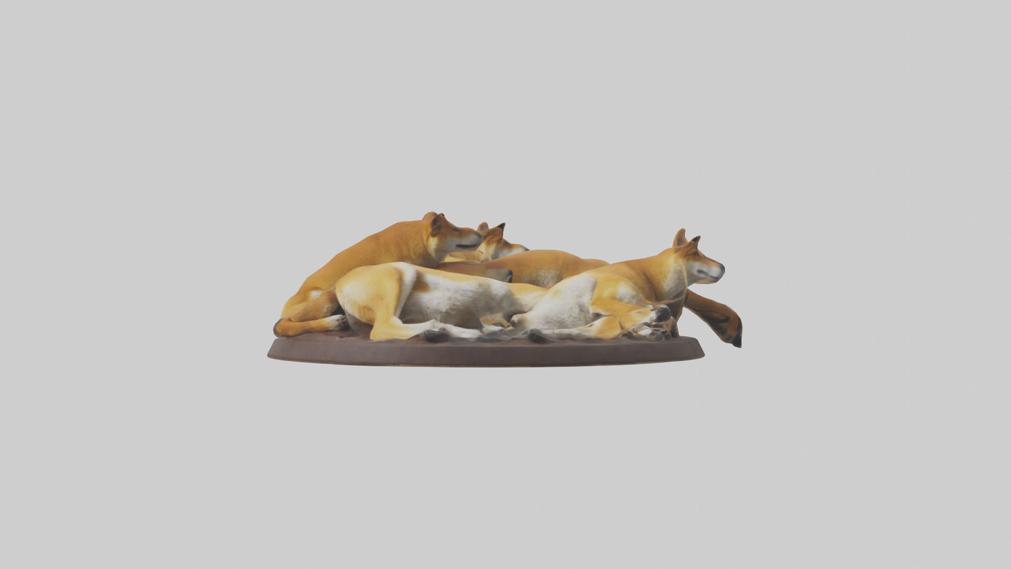 Dingo pack resting model 3D model