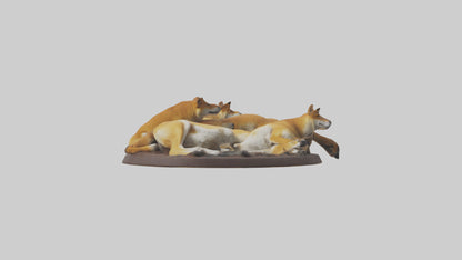 Dingo pack resting model 3D model