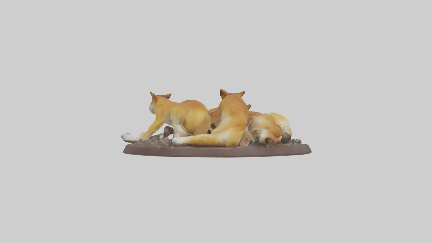 Dingo pack resting model 3D model