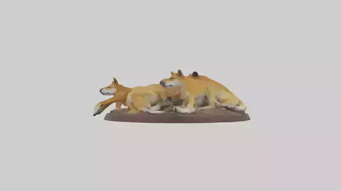 Dingo pack resting model 3D model