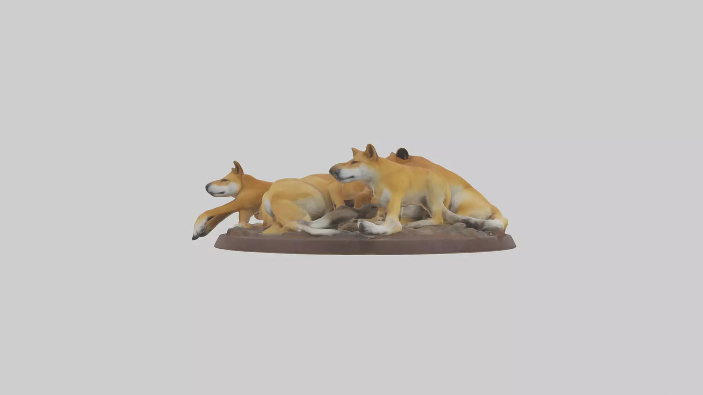 Dingo pack resting model 3D model