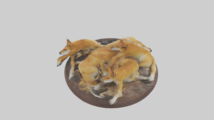 Dingo pack resting model 3D model