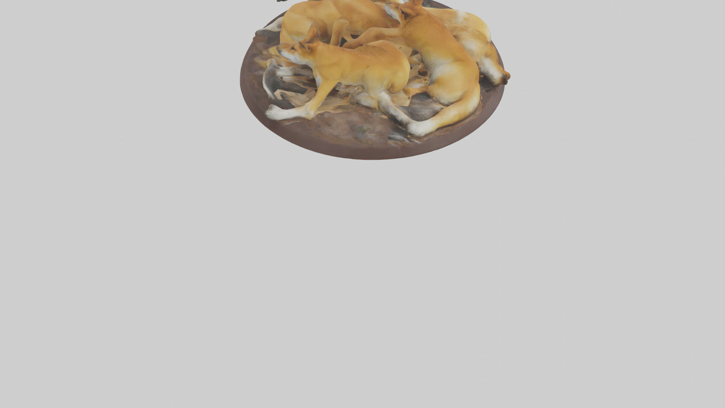 Dingo pack resting model 3D model