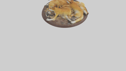 Dingo pack resting model 3D model