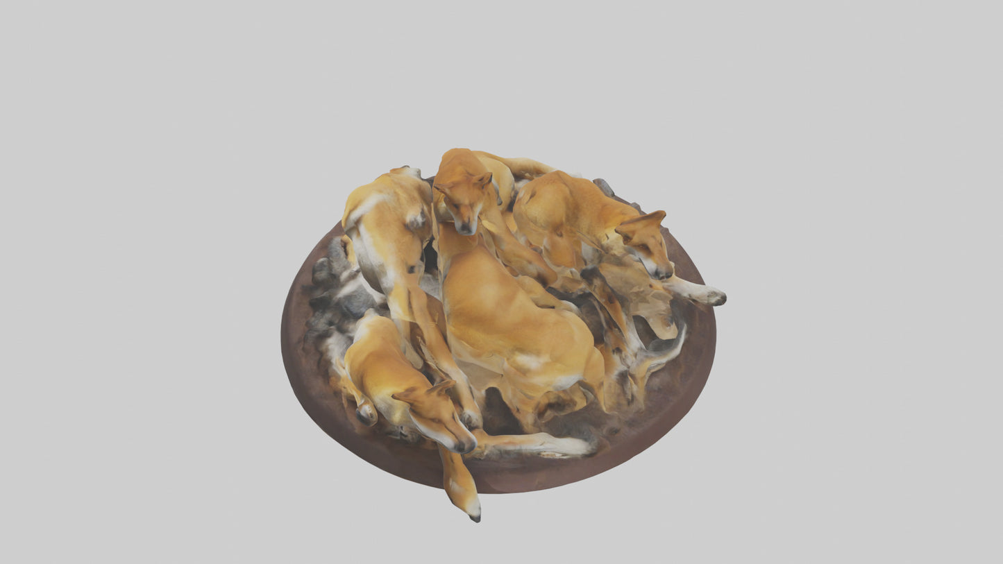 Dingo pack resting model 3D model