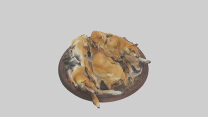 Dingo pack resting model 3D model