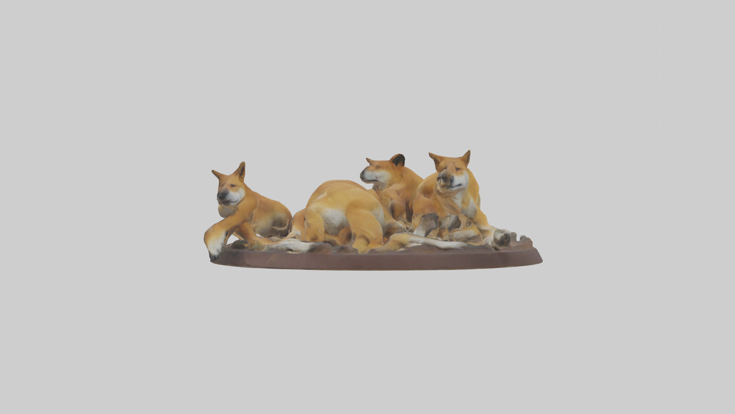 Dingo pack resting model 3D model