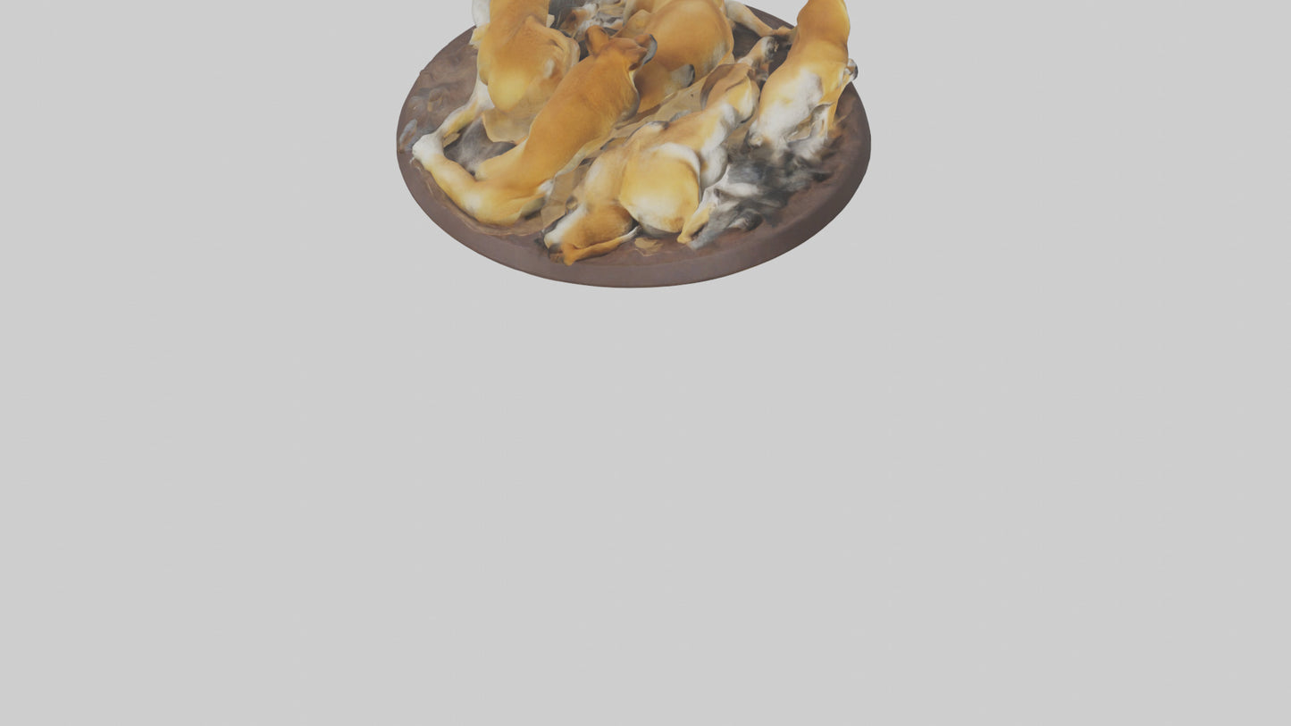 Dingo pack resting model 3D model