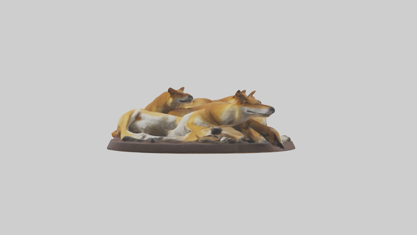 Dingo pack resting model 3D model