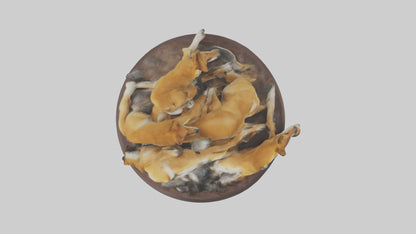 Dingo pack resting model 3D model