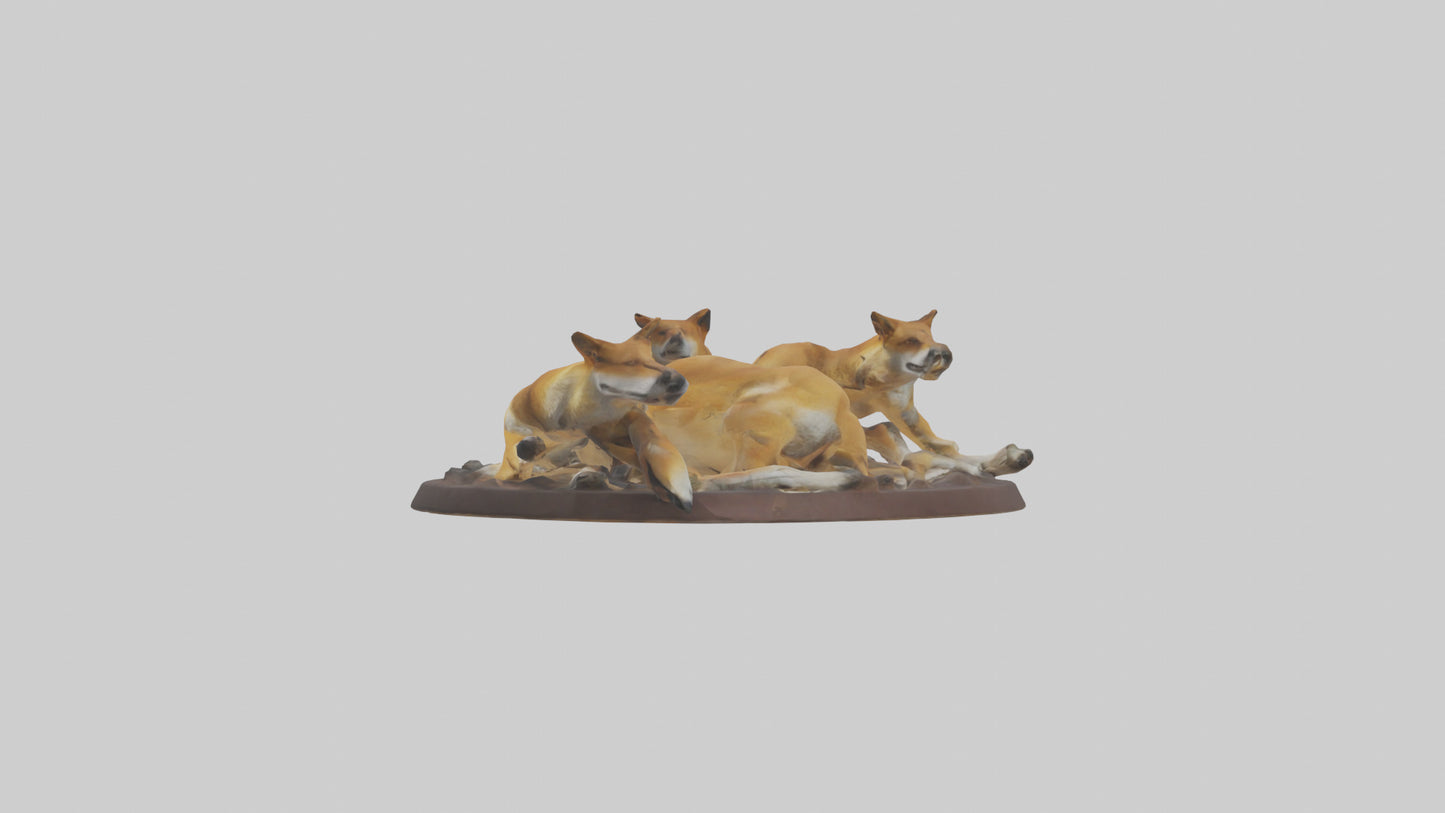 Dingo pack resting model 3D model