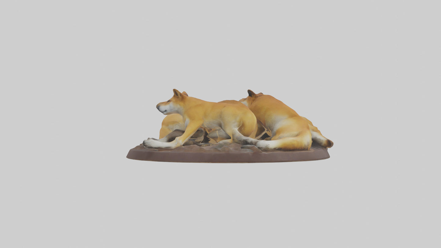 Dingo pack resting model 3D model
