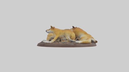 Dingo pack resting model 3D model