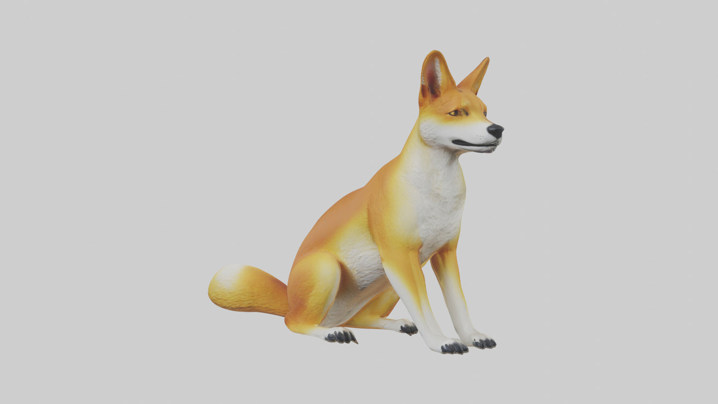 Dingo sitting model 3D model