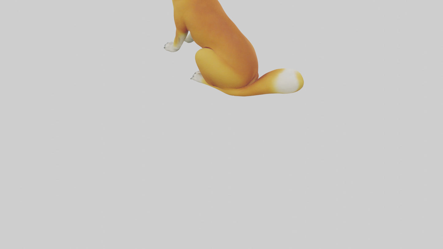 Dingo sitting model 3D model