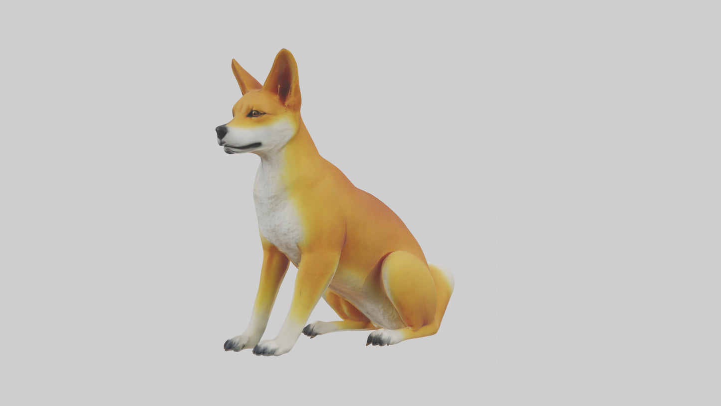 Dingo sitting model 3D model