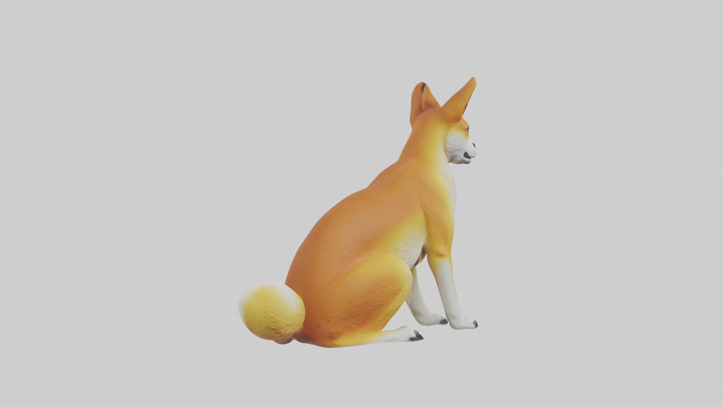 Dingo sitting model 3D model