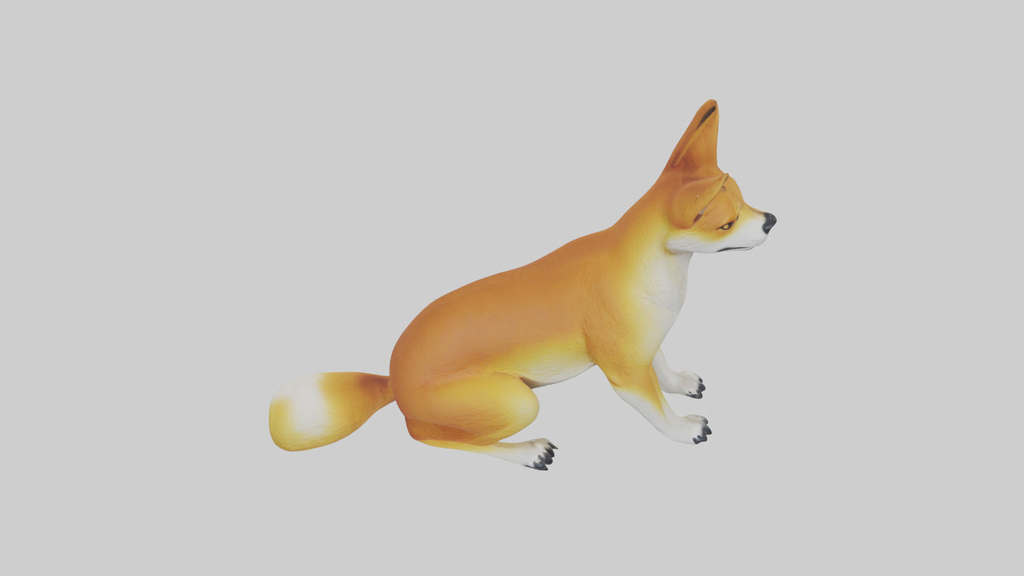 Dingo sitting model 3D model