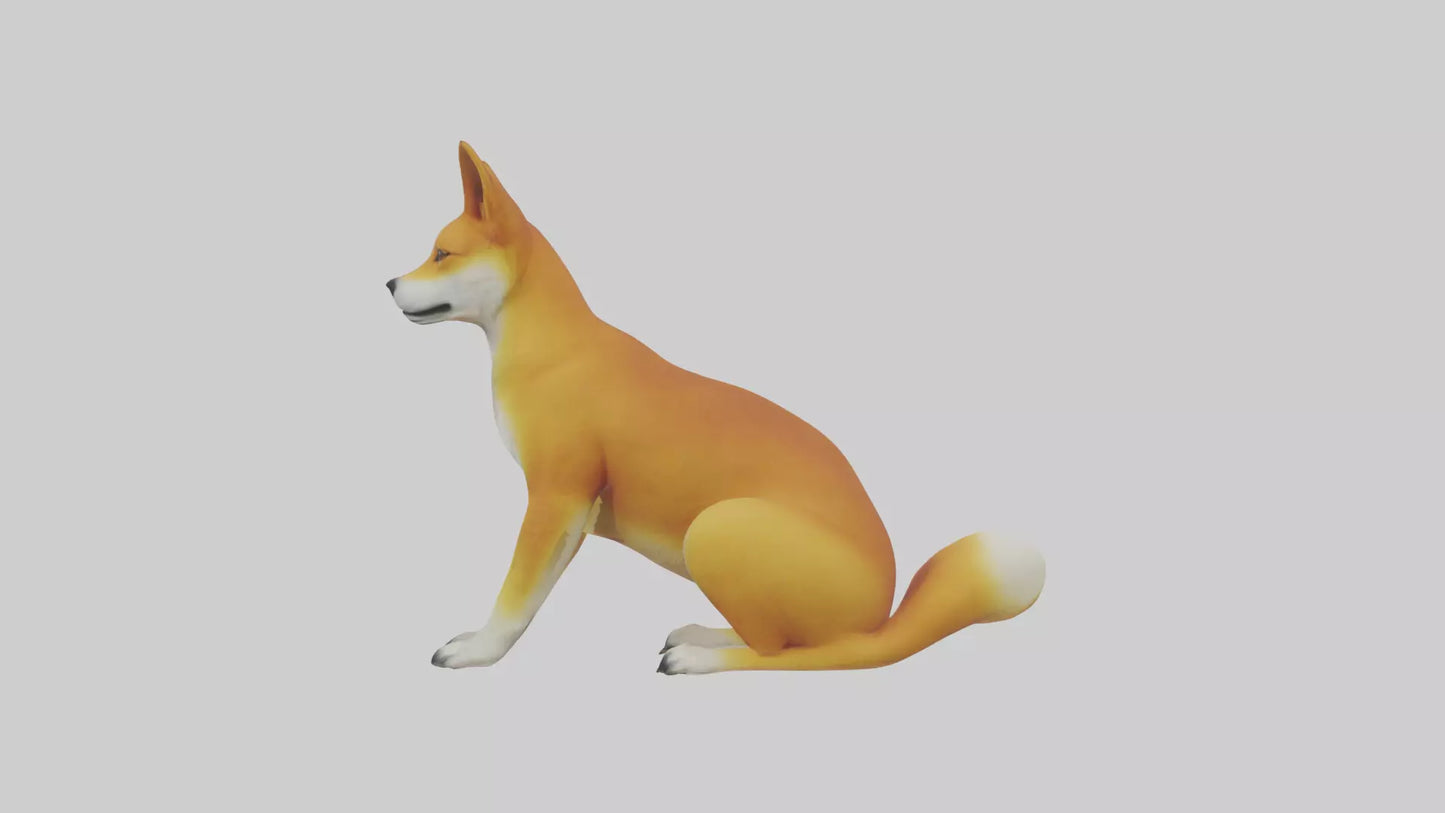 Dingo sitting model 3D model