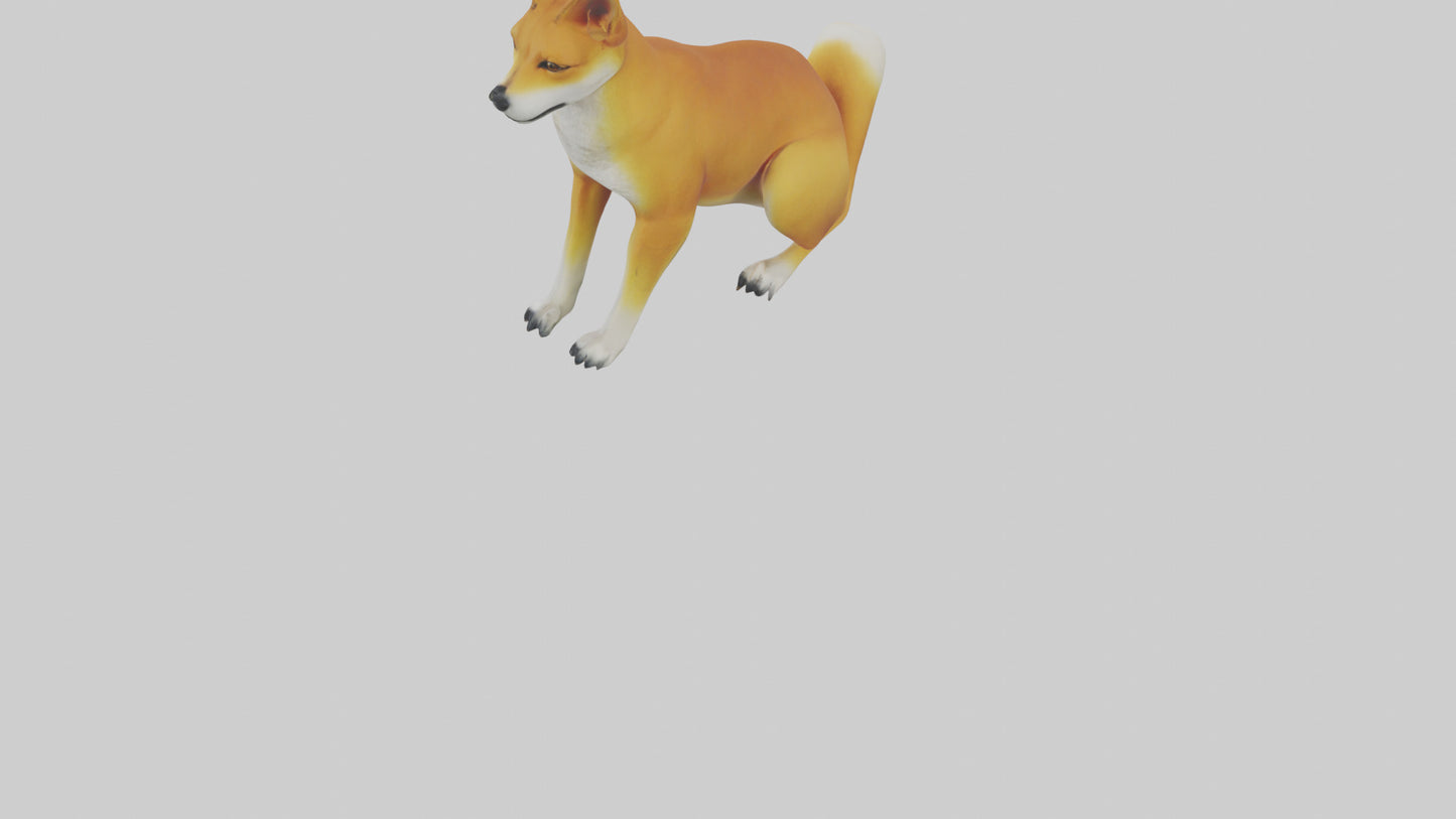 Dingo sitting model 3D model