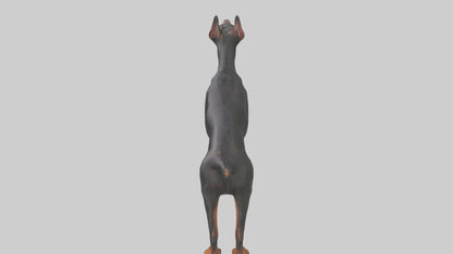 Doberman Pinscher alert model 3D model