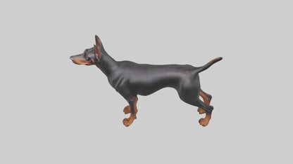Doberman Pinscher alert model 3D model
