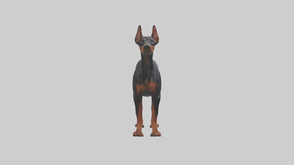 Doberman Pinscher alert model 3D model