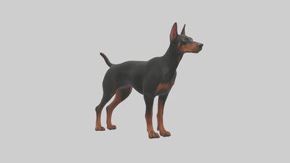 Doberman Pinscher alert model 3D model