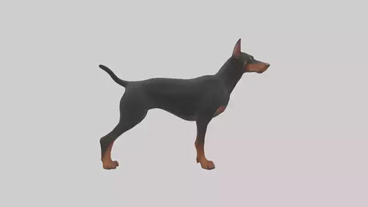 Doberman Pinscher alert model 3D model