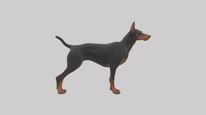 Doberman Pinscher alert model 3D model