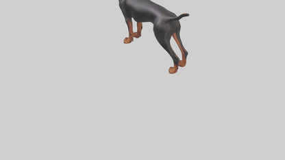 Doberman Pinscher alert model 3D model